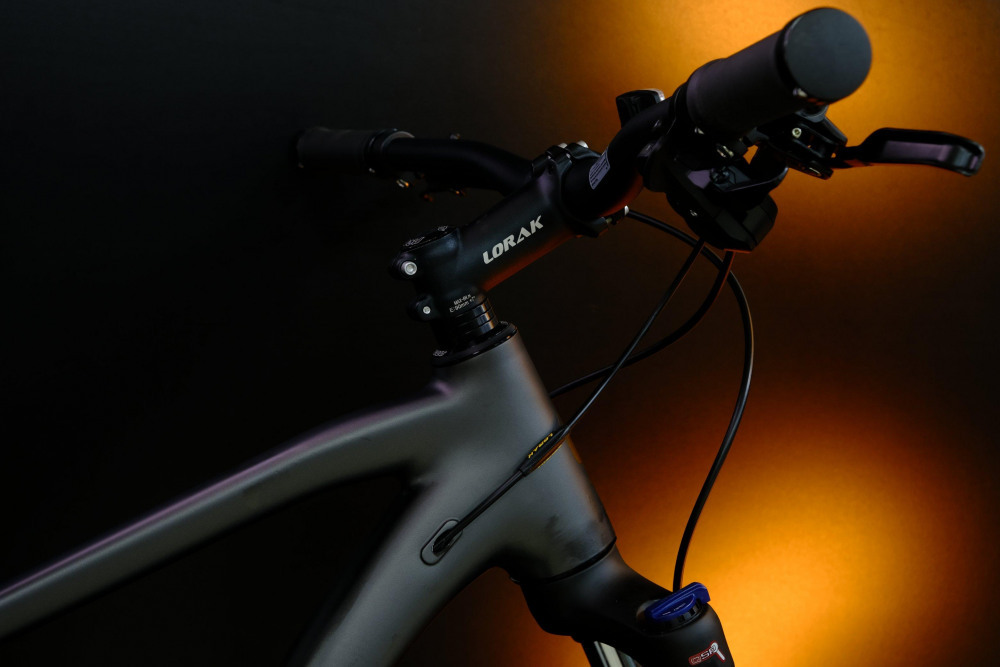 LORAK 7.0 9 sp Матовый Серый/Золотой 19р (на рост 171-182)